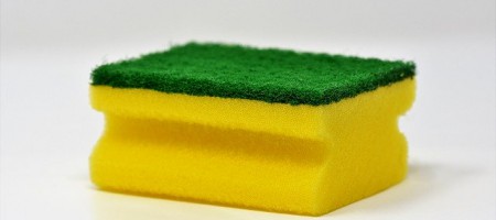 sponge-3081410_640